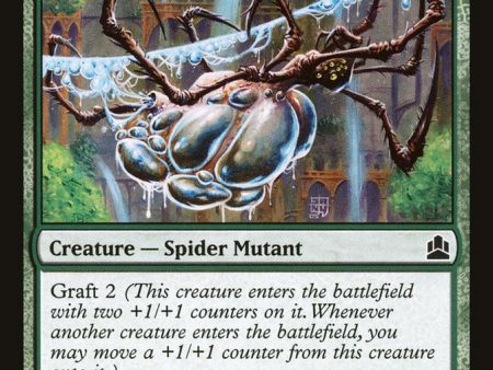 Aquastrand Spider [Commander 2011] Online Sale