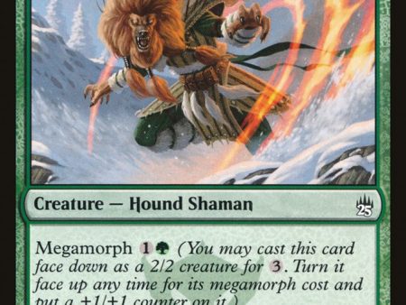 Ainok Survivalist [Masters 25] For Cheap