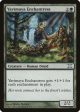 Yavimaya Enchantress [Tenth Edition] Supply