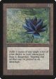 Black Lotus [Beta Edition] Discount