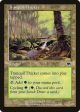 Tranquil Thicket [Onslaught] For Cheap