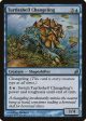 Turtleshell Changeling [Lorwyn] Cheap