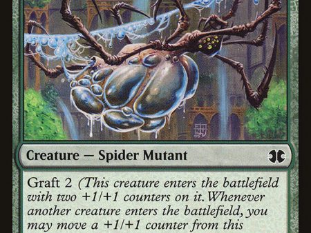 Aquastrand Spider [Modern Masters 2015] Online now