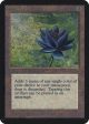 Black Lotus [Alpha Edition] Supply