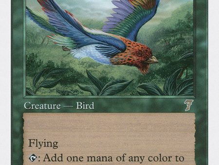 Birds of Paradise [Seventh Edition] Hot on Sale